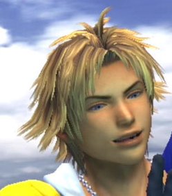 10-tidus3.jpg